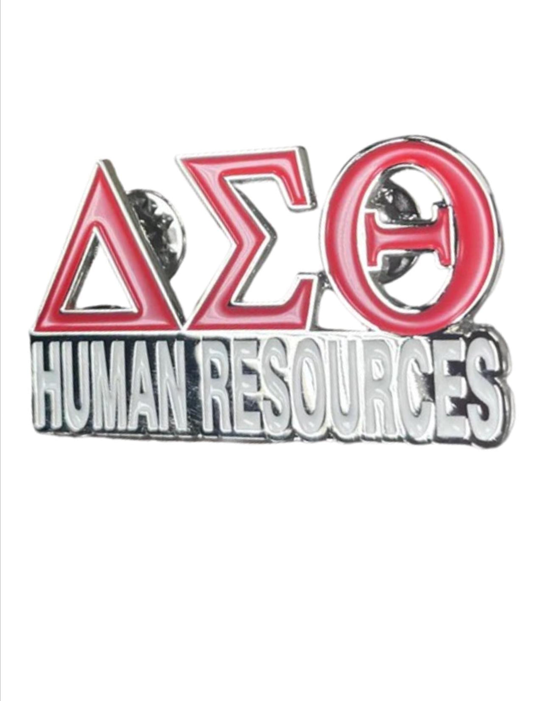 Delta Sigma Theta Career Pins - Catalyst