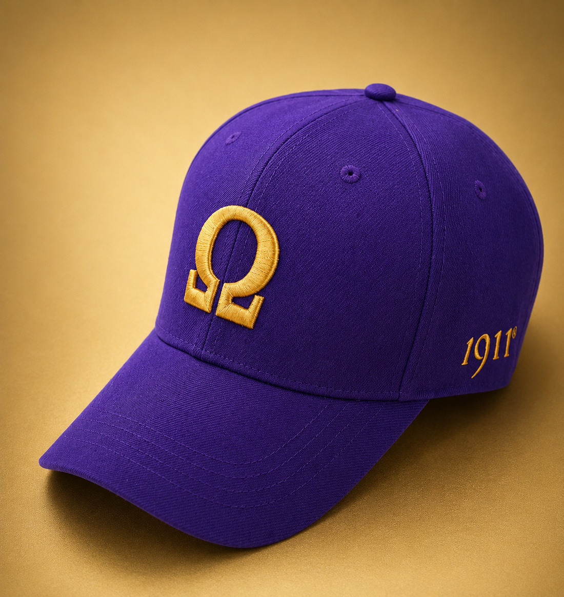 OMEGA FITTED HAT